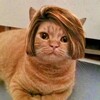 奇跡の起こしかた(お受験等)