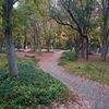 大阪城公園まで紅葉を見に行ってきました