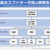 低ホスファターゼ症③｜病態生理　～TNSALP遺伝子変異からPLP, PPi蓄積まで～