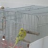 同じ時を過ごすのは意外と短い