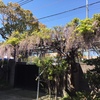 父親がリアルに夢に出てきた