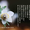 こころの道しるべ（205）笑顔の深さ