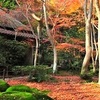 祇王寺の紅葉2025：見頃や色づき状況、混雑回避の方法！