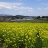 明日香村でキトラや高松塚周辺の農村めぐり