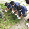 中学環境リサイクル委員がお花を植えました！