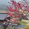 「ウィキペディアタウンin与謝野 温江」に参加する