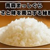 品質は本物？青森まっしぐら安さと味を両立する秘密を徹底解剖