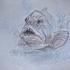  怖い顔の臆病者 　～オオカミウオ岩陰日記～ The Scary-Faced Coward ～Wolffish Rock Crevice Diary～