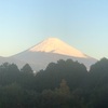 今朝の景色