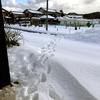 クルマ雪に閉じ込められた。1月25日