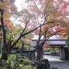 東急ハーヴェストクラブ京都鷹峯⑤　紅葉色づきはじめのしょうざん庭園を散策