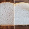 【実験】米粉ミニ食パンを２次発酵させてみる