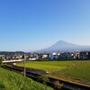 山梨県方面へちくわと男旅(ソフトクリームとほうとう)。