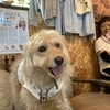 ann's cafe「京丹波町」