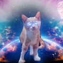 THE SPACE-CAT