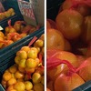 蜜柑を詠んだ歌１　　我が友は蜜柑むきつつしみじみとはや抱きねといひにけらずや　斎藤茂吉　　たそがれの，蜜柑をむきし爪（つま）さきの／黄なるかをりに，母をおもへり　土岐善麿　　人声を探して行けば密柑山ひともとの木に群れて摘み居し　若山牧水　　　少年の手に落としたるみかん一つ河原の石に輝きはずむ　馬場あき子