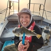 初 カットウフグ🐡なる釣り🎣を👀