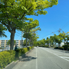今日も新緑が眩しい！