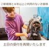 全ての曜日でご新規様の受付可能です