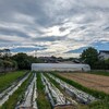 芸術的なステキな一日