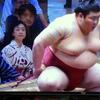 二転三転しましたが・・。