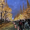 No.421【東京都】準備はいいか！？「明治神宮外苑いちょう並木」のライトアップは短いぞ！