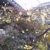 新しいくつと青い空