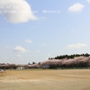 県立中央高校の桜・・