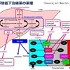 高尿酸血症に対する臨床対応