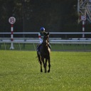 競馬で勝つための抑えておきたいこと