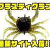 【チェイスベイツ】カニ型ワーム「クラスティクラブ」通販サイト入荷！