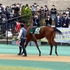 アルテミスステークス2023　のちの活躍馬を多数輩出する2歳牝馬限定戦