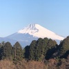 今朝の景色
