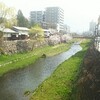 やっぱ炒飯は醤油ベースが1番ですよね〜。