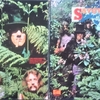 この人の、この１枚『サヴォイ・ブラウン(Savoy Brown)／ステップ・ファーザー(A Step Further』
