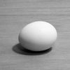 「鶏と卵」