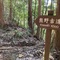 熊野古道でみた異様な景色
