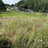 老人キリスト者の生きる意味