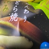 わ　ふんわり　どら焼きだよ　