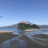 ウスバキトンボと江之島と桜島