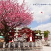 【名古屋】境内の紅梅が満開のパワースポット、上野天満宮へ神頼み～♪