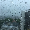 ある雨の日。。