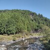 葛川中村〜八丁平〜峰床山〜三本杉〜大悲山口縦走