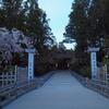 【ブログ】無料で観光した高野山の美しい寺院建築、4つの散策コースを写真で紹介