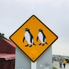 ニュージーランド（ペンギンに会いたい編④）