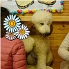 2016年1月6日 はまなす荘にて
