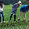 金蔵オープンビレッジ  -里山を未来へつなぐワークショップ- に参加してきた