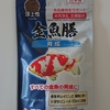 まだ成長期の金魚に金魚膳を与える