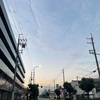 粗暴