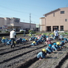 聖母保育園で、菜種油の寄贈式